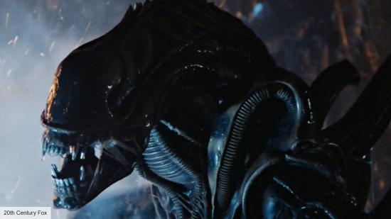 the xenomorph in Alien