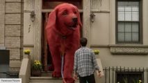 Big red dog in front of a New York flat