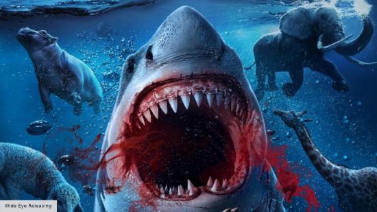 Noah's Shark movie poster