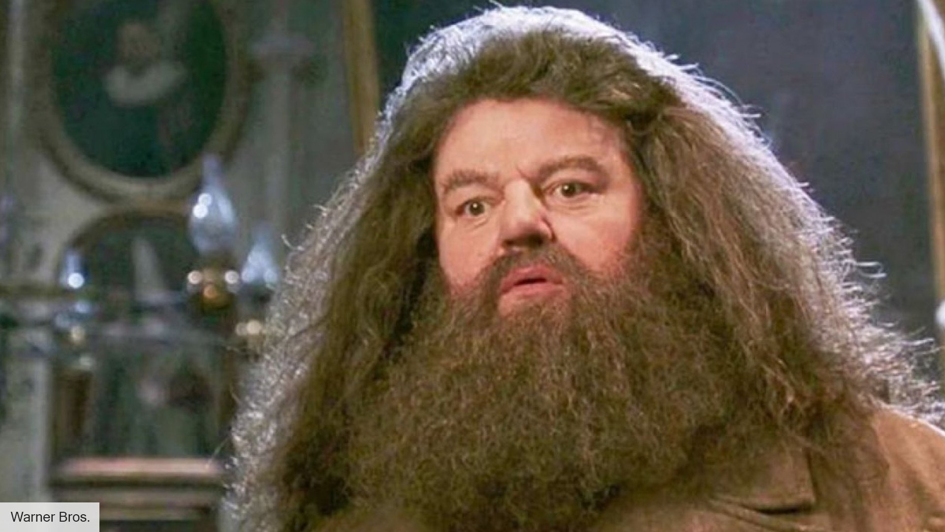 Harry Potter cast: Hagrid