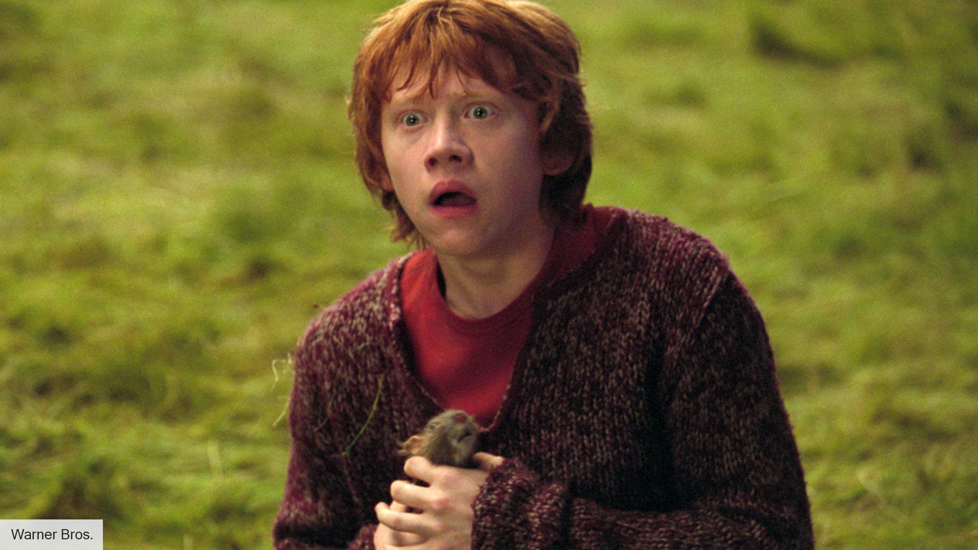 Harry Potter cast: Ron Weasley