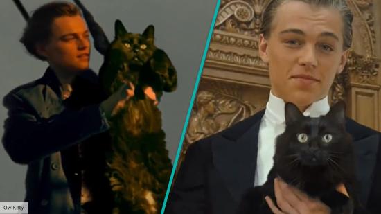 Leonardo Di Caprio falls in love with a cat in Titanic