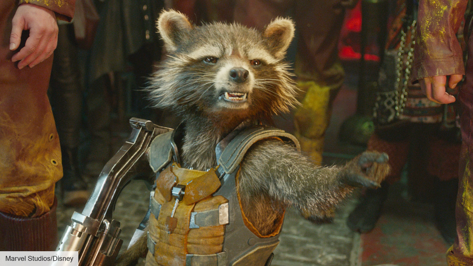 Guardians of the Galaxy  will reveal huge Rocket mystery | The Digital  Fix