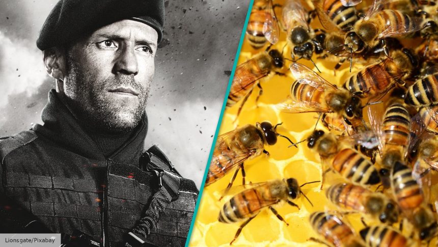 Jason Statham to make action movie about... beekeeping?