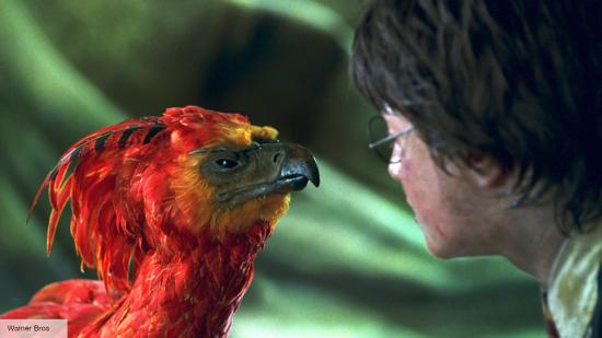Harry Potter appears to confirm Fawkes is in Fantastic Beasts