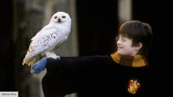 Daniel Radcliffe as Harry Potter, with Hedwig the owl