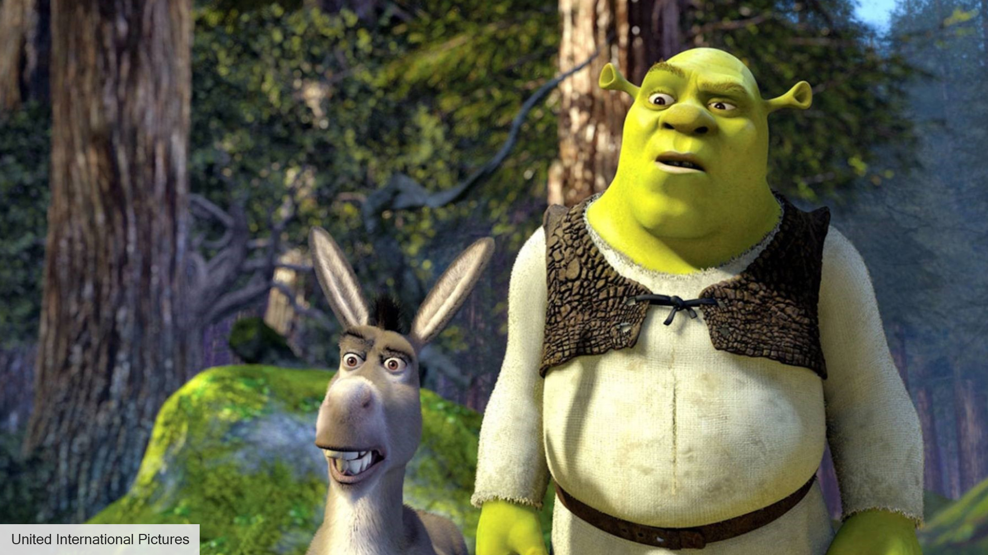 Shrek 5 release date: Shrek and Donkey looking confused