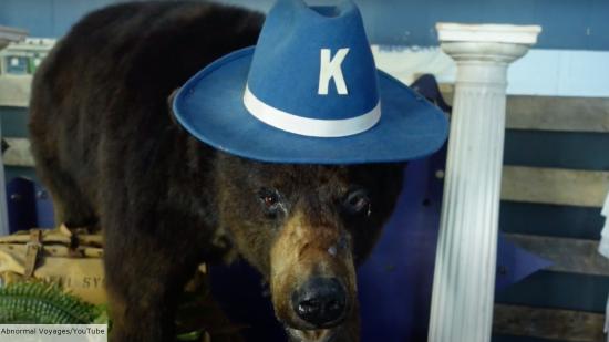 Cocaine Bear release date: real-life Cocaine Bear preserved and displayed in Kentucky