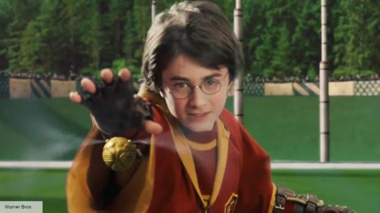 Harry Potter reaching for the golden snitch