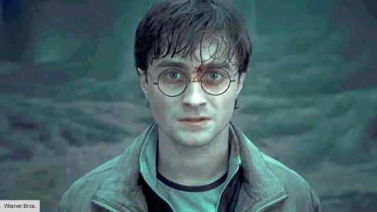 Major Harry Potter scene took five months because of bad weather
