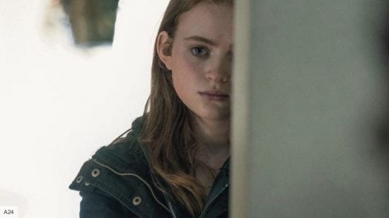 The Whale review: Sadie Sink in The Whale