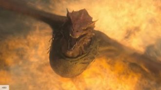 House of the Dragon: Vhagar, Aemond’s new dragon explained 