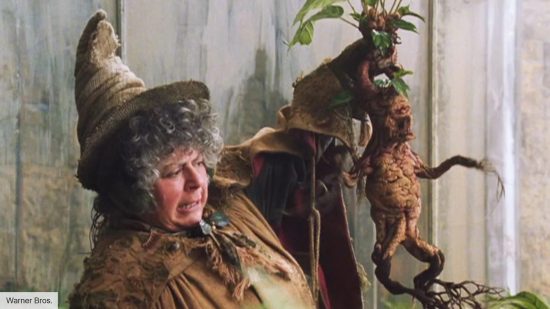 Professor Sprout in Harry Potter
