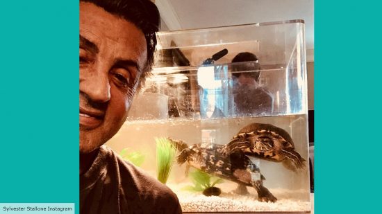 Stallone and his turtles