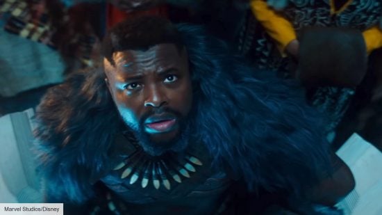 Marvel movies in order: Black Panther: Wakanda Forever