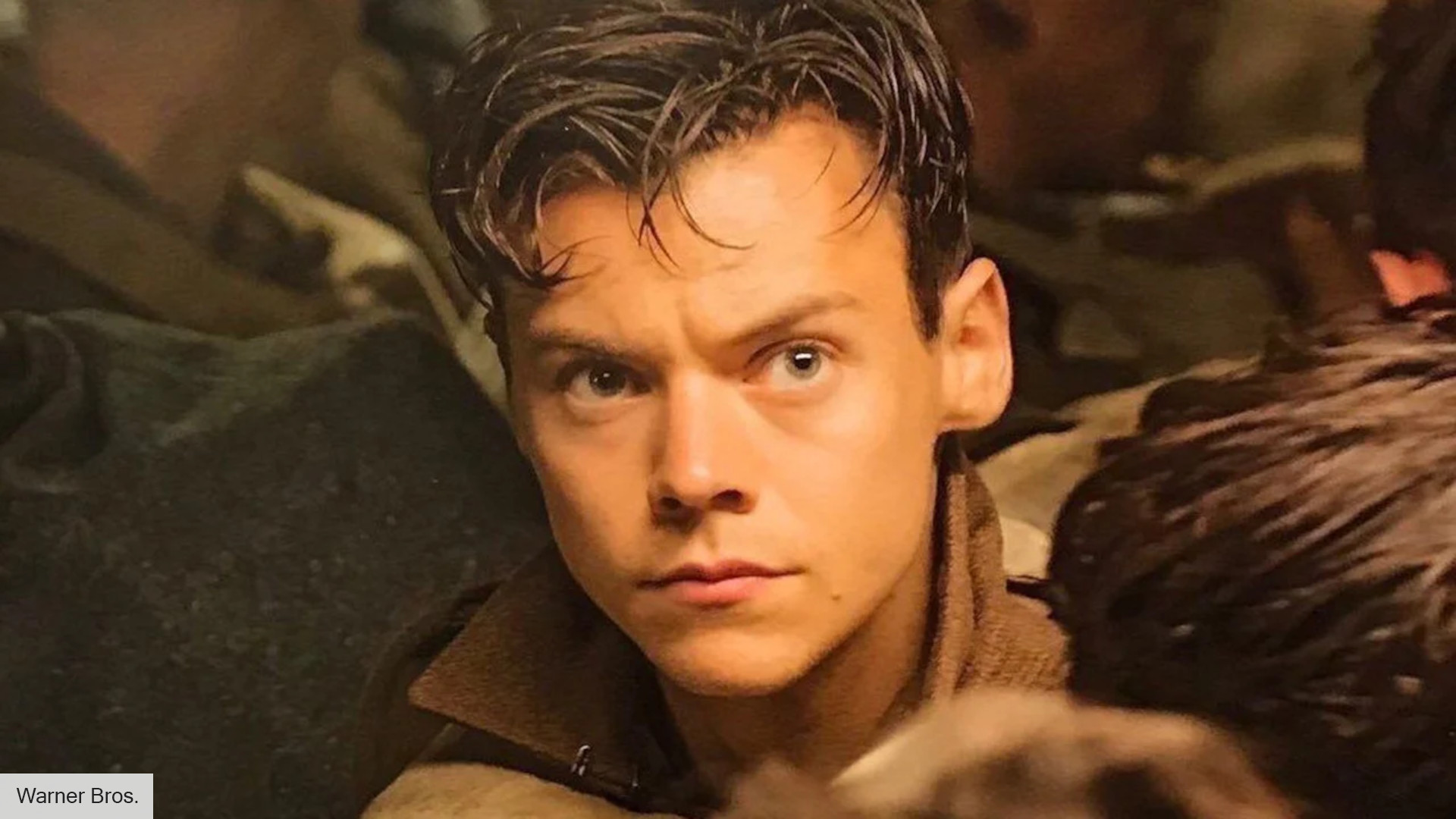 All the Harry Styles movies ranked, from best to worst