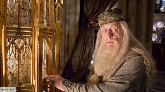 Harry Potter: who is Dumbledore's crush? Michael Gambon as Dumbledore