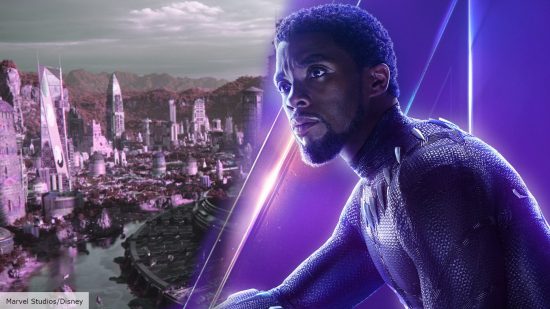 Chadwick Boseman as T'Challa in Black Panther standing in front of Wakanda