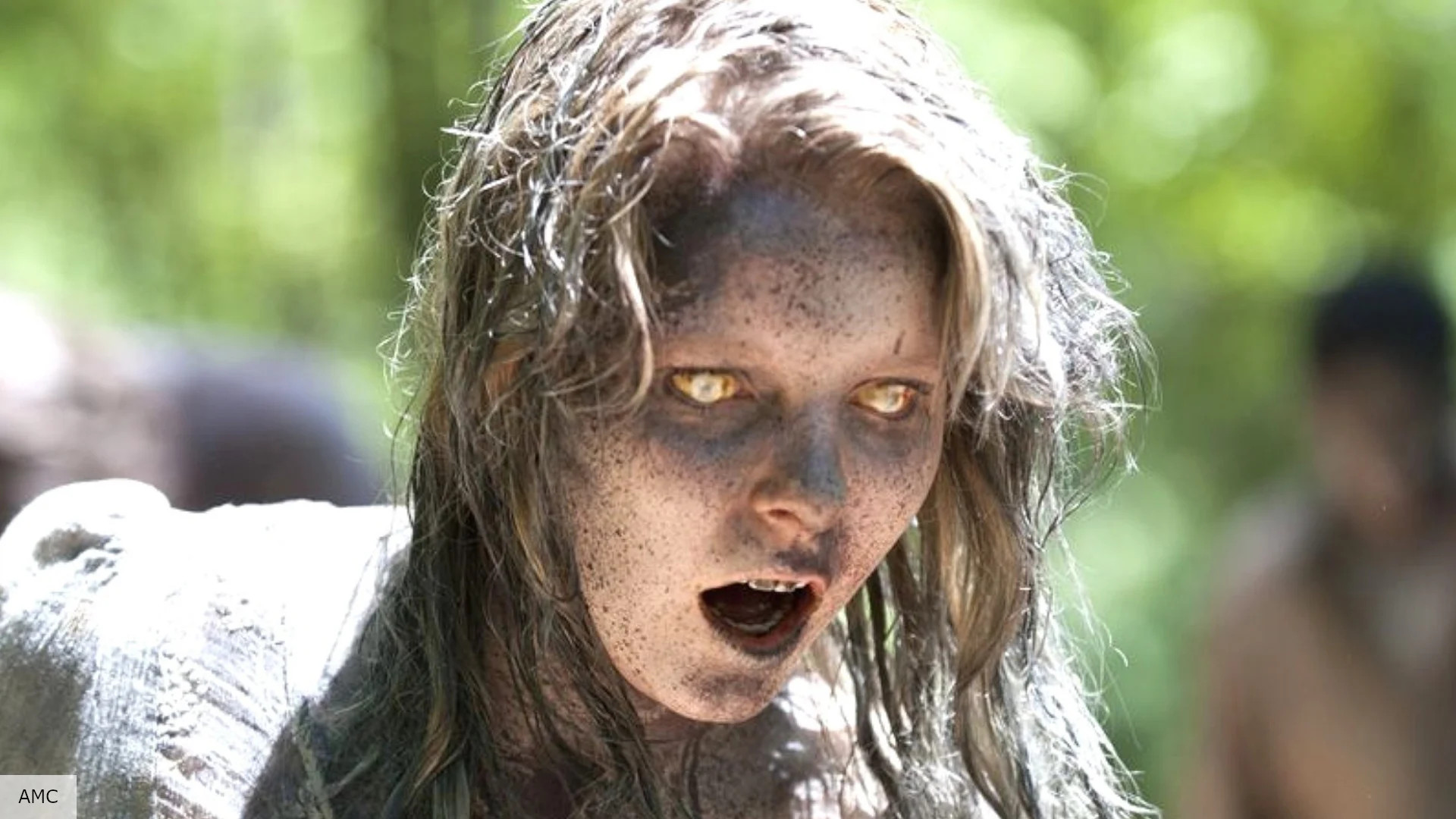 Will there be a Walking Dead season 12? | The Digital Fix