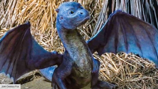 Eragon TV series release date: Saphira as a baby dragon 