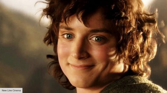 Elijah Wood as Frodo in The Lord of the Rings