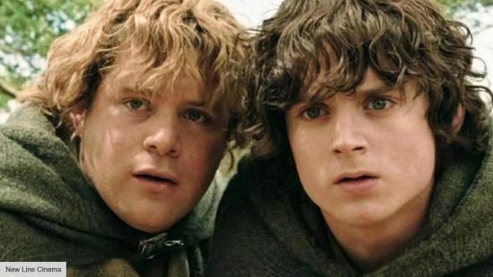 Lord of the Rings cast: Sam and Frodo