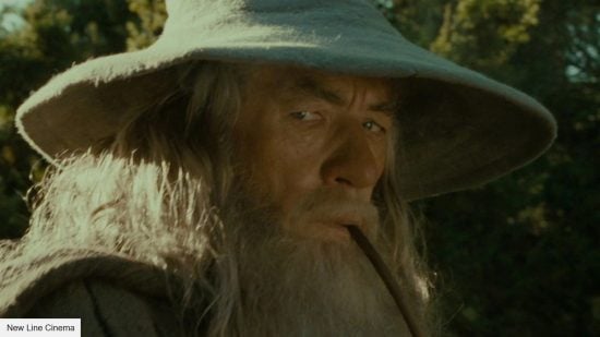 The best movies based on books: Sir Ian McKellen as Gandalf in The Lord of the Rings