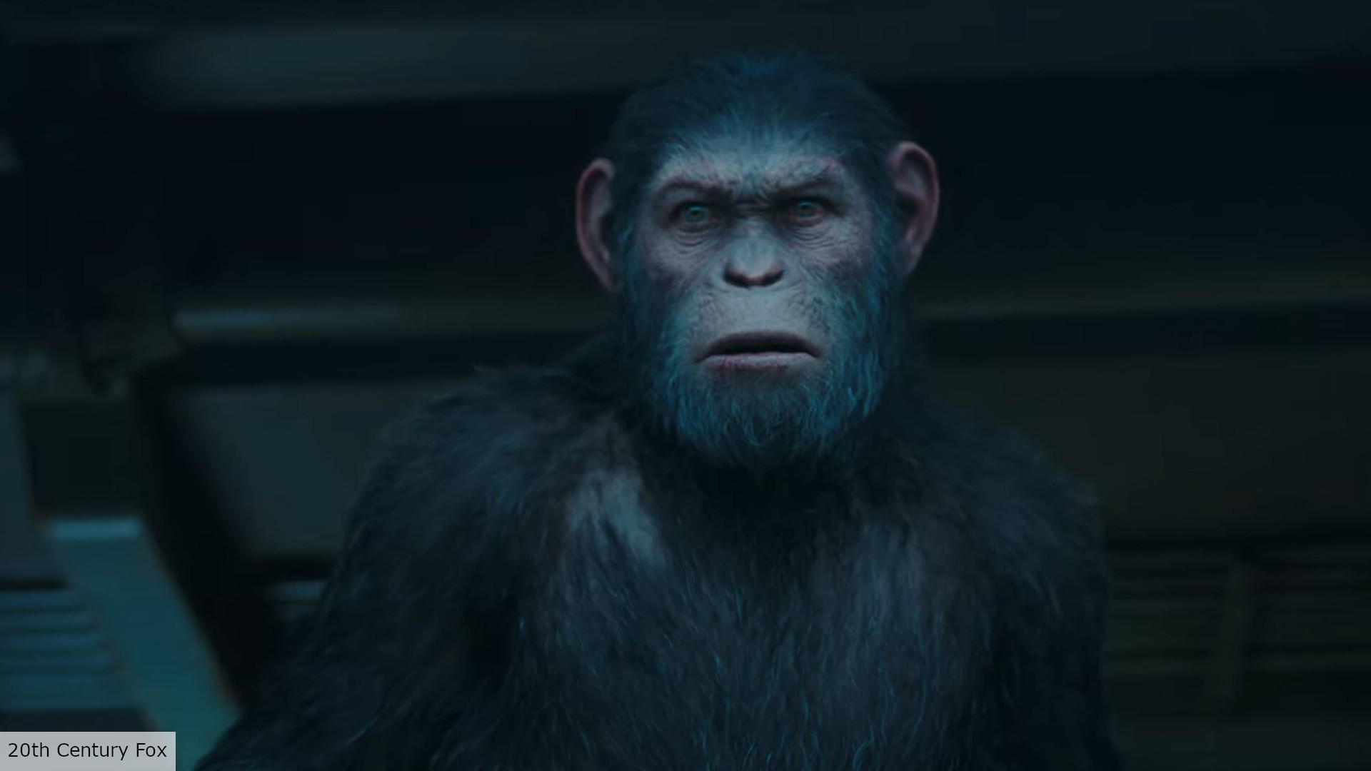 Kingdom of the of the Apes release date, cast, plot, and more