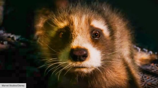 Baby Rocket revealed in GotG 3 LEGO, and OMG the cuteness