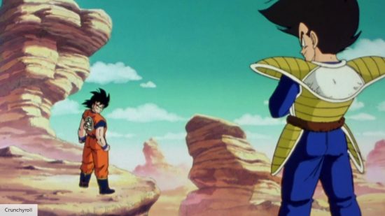 Goku and Vegeta in Dragon Ball Z
