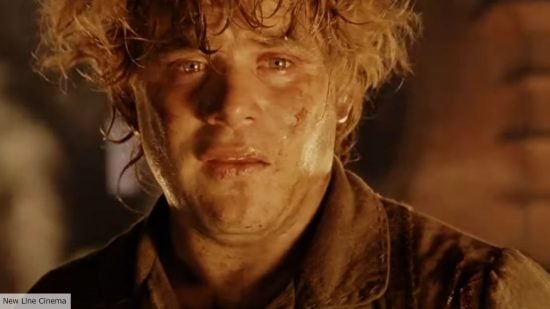 Sam in The Lord of the Rings the return of the king