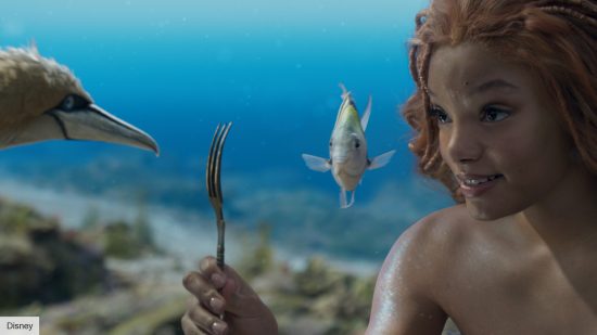 ariel flounder and scuttle in the little mermaid