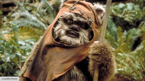 An Ewok from Star Wars Return of the Jedi