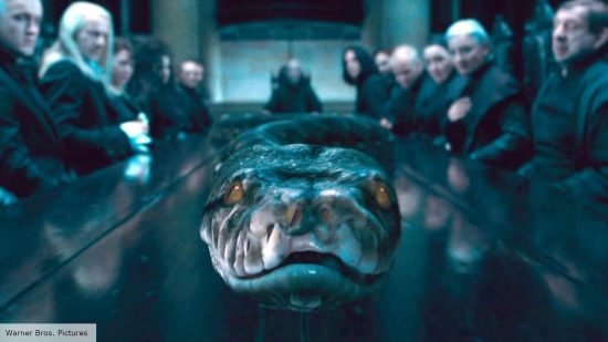 Nagini was a Horcrux in the Harry Potter movies