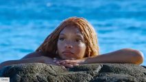 the little mermaid 2 release date: ariel on the rock