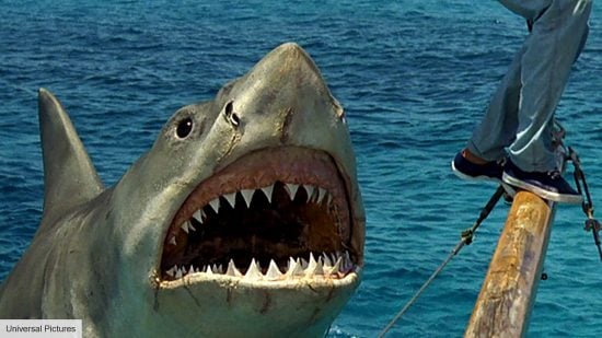 The shark in Jaws The Revenge