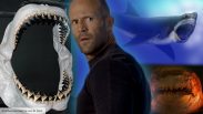 We learned The Meg true story, and it's even scarier than the movies