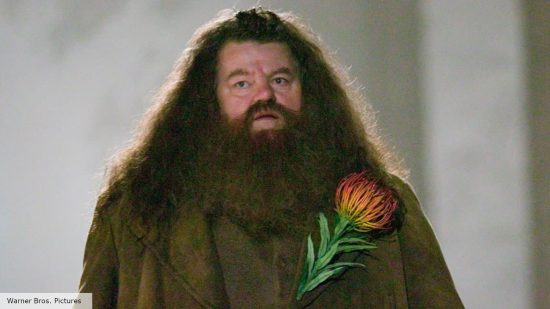 Best Harry Potter characters - Hagrid