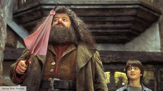 Harry Potter - Hagrid kept his wand in a pink umbrella