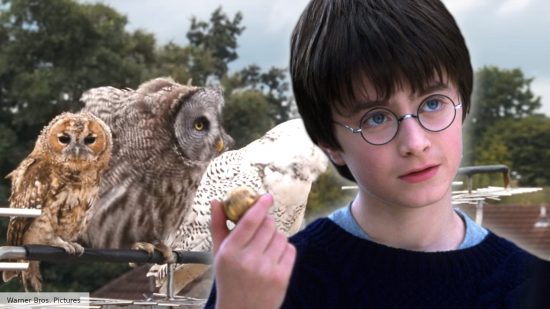 Harry Potter's success was bad news for owls