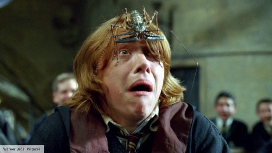 Harry Potter - Ron Weasley is very afraid of spiders