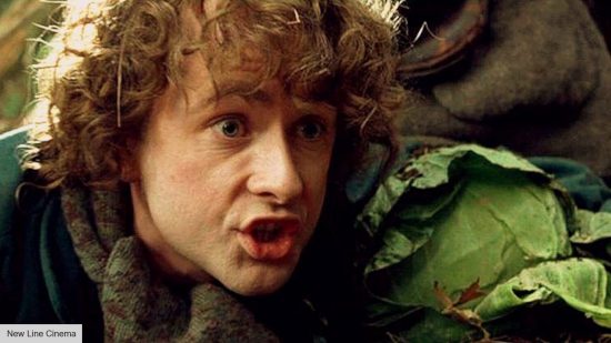 Pippin in Lord of the Rings