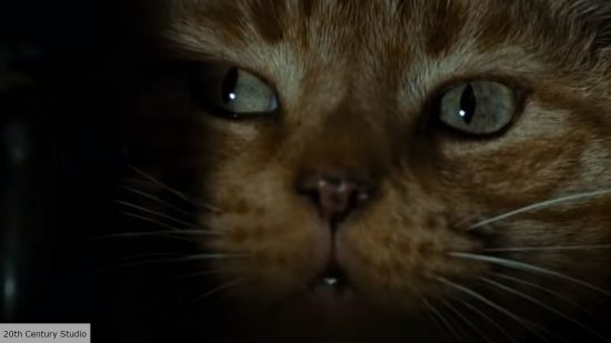 Alien 7 release date: Cat in Alien
