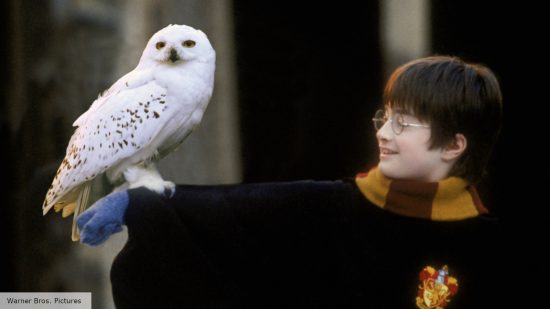 Best Harry Potter characters - Hedwig