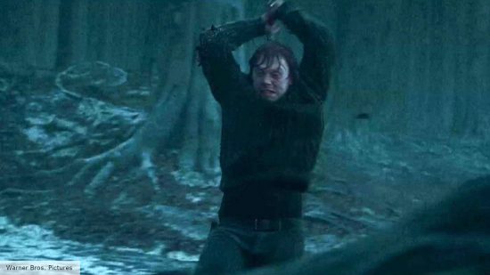 Ron Weasley destroyed one of the Horcruxes in Harry Potter