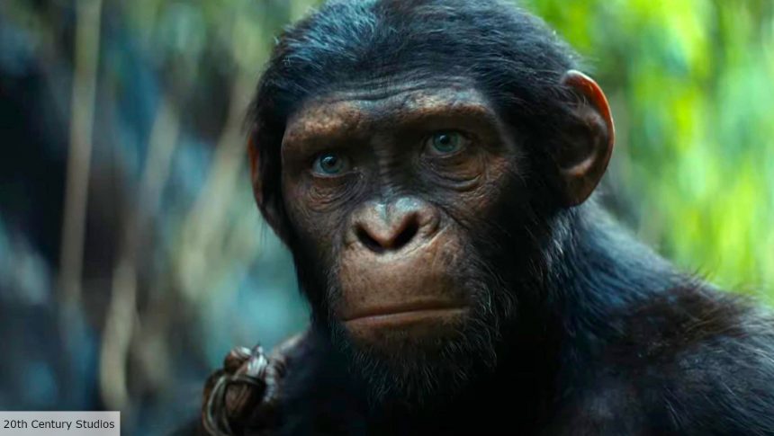 An Ape in Kingdom of the Planet of the Apes