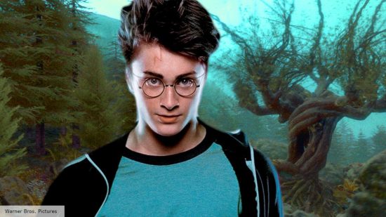 Harry Potter and the Prisoner of Azkaban gave us the best Harry Potter director