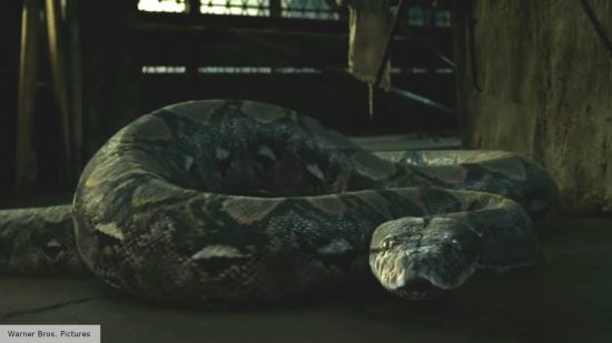 Nagini in Harry Potter and the Deathly Hallows Part 2