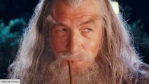Ian McKellen as Gandalf in The Lord of the Rings