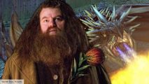 Harry Potter dragons were fire-breathing friends to Hagrid